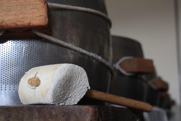 Parte del processo di produzione del Parmigiano Reggiano