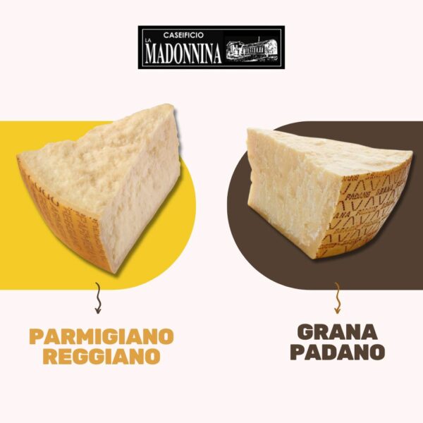 Parmigiano Reggiano o Grana Padano